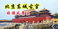骚逼啊啊啊观看视频中国北京-东城古宫旅游风景区
